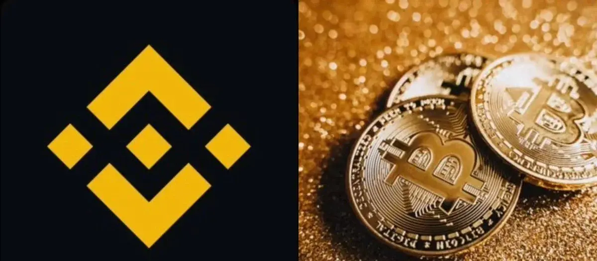 Massive Bitcoin Exodus From Binance...