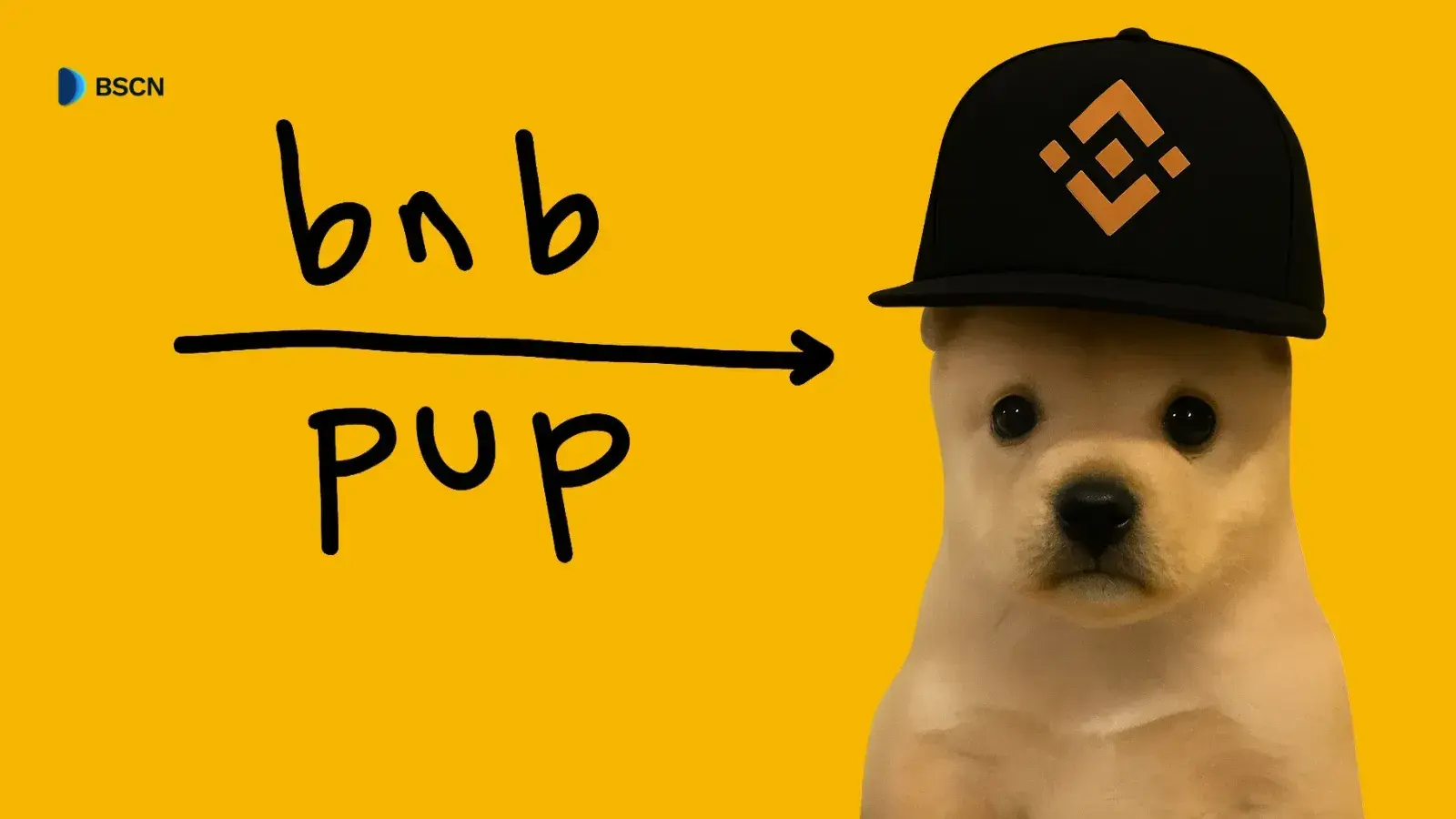 PUP – The Upside-Down BNB Meme Rising on BNB Chain