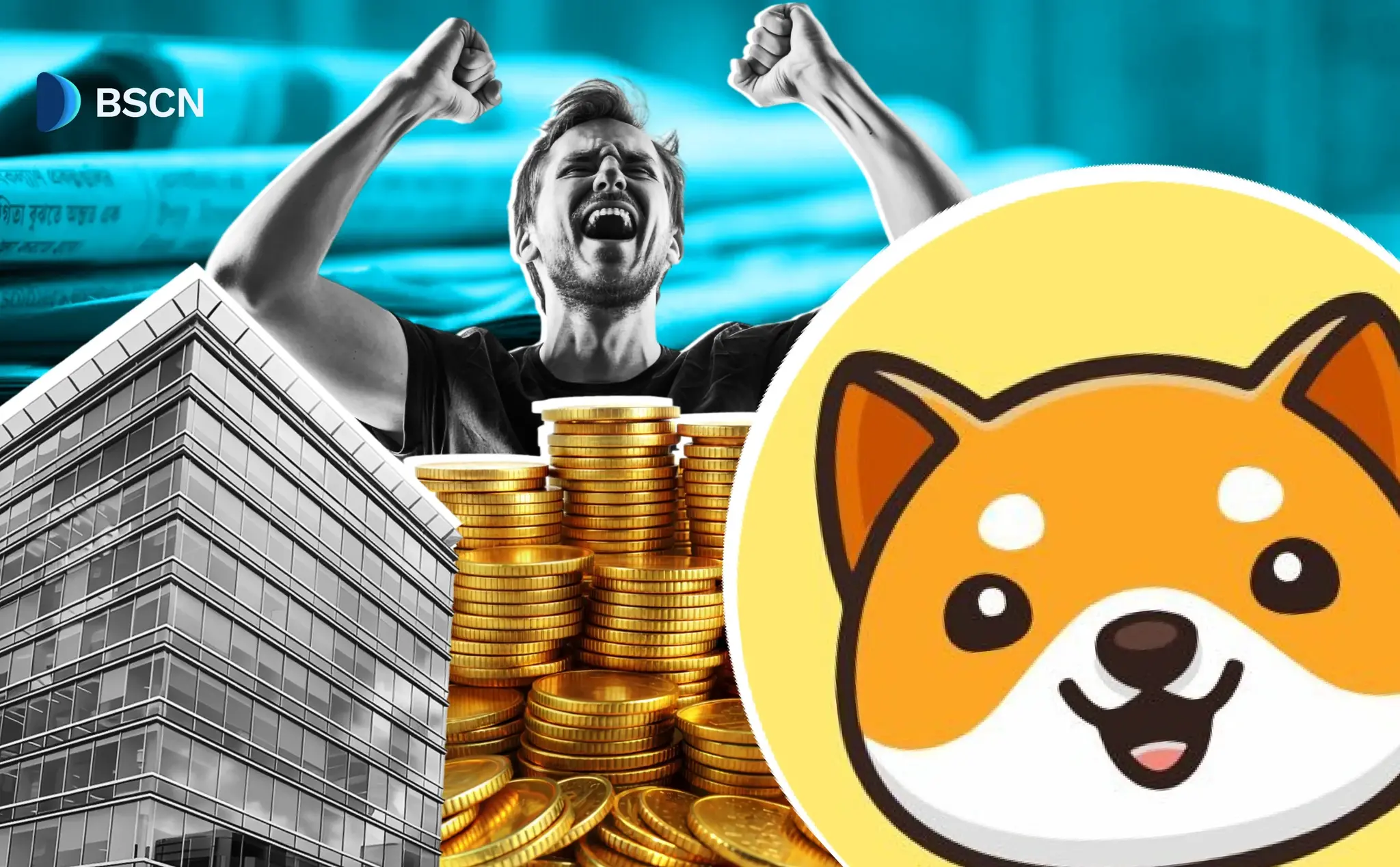 BabyDoge Update: Binance Airdrop, Real Estate & More 