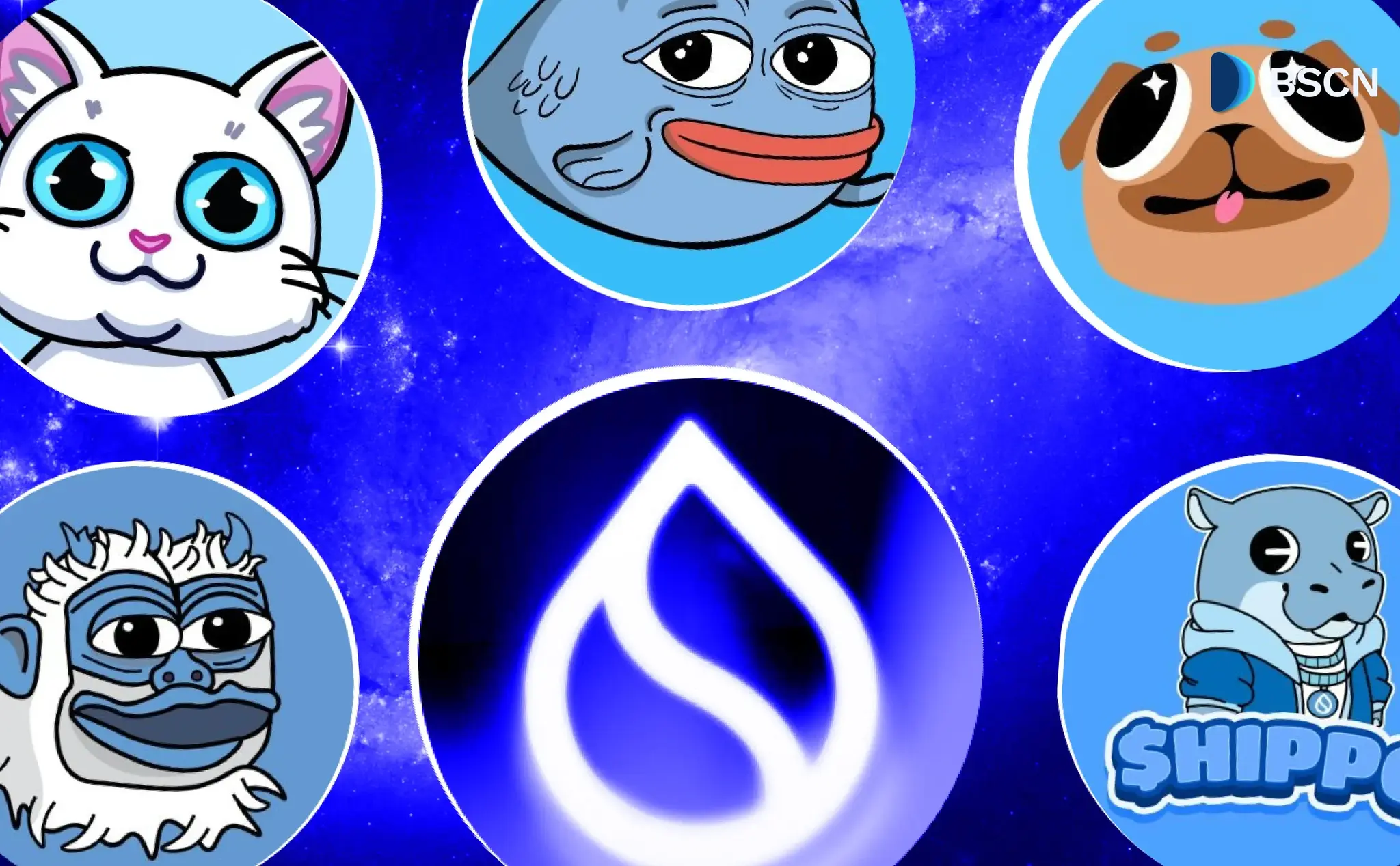 Top 5 SUI Memecoins to Watch: 2025 Edition