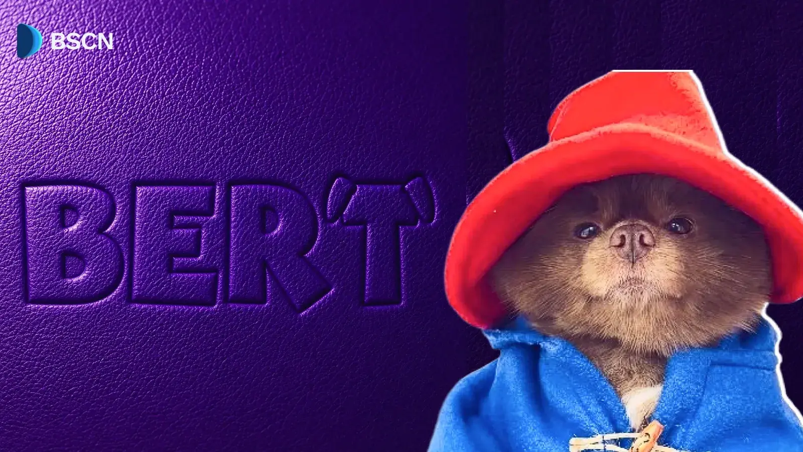 Wat is BERT Memecoin op Solana?