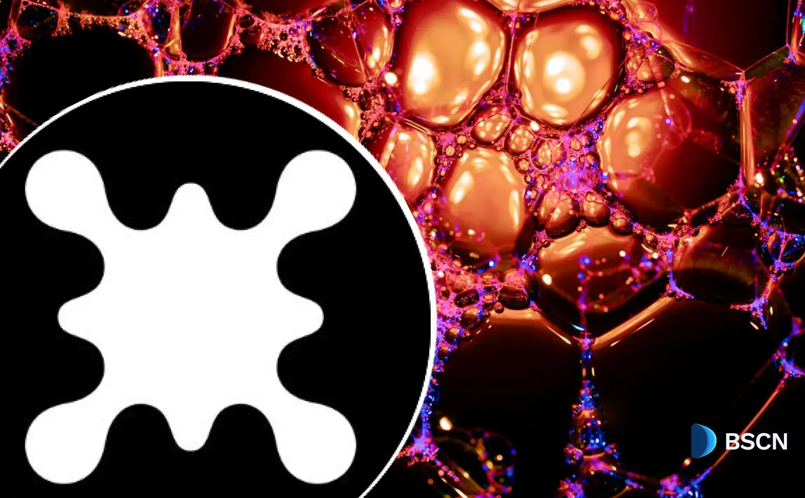 Latest Bio Protocol News: Exchange Listing & Launchpad