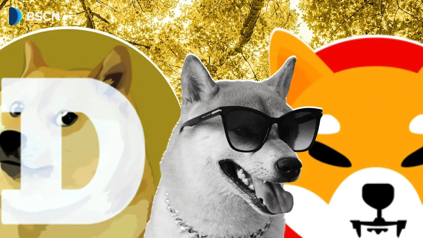 Shiba Inu versus Dogecoin: een technische en community-gebaseerde vergelijking