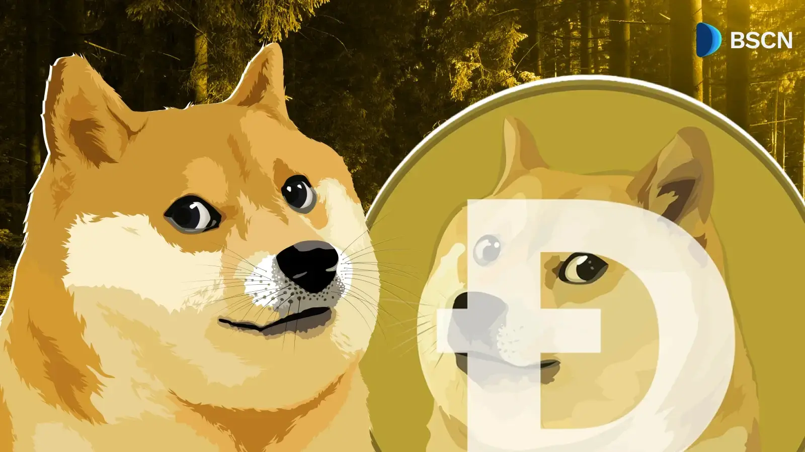 De geschiedenis van Dogecoin: van internetgrap tot een van de tien populairste cryptovaluta