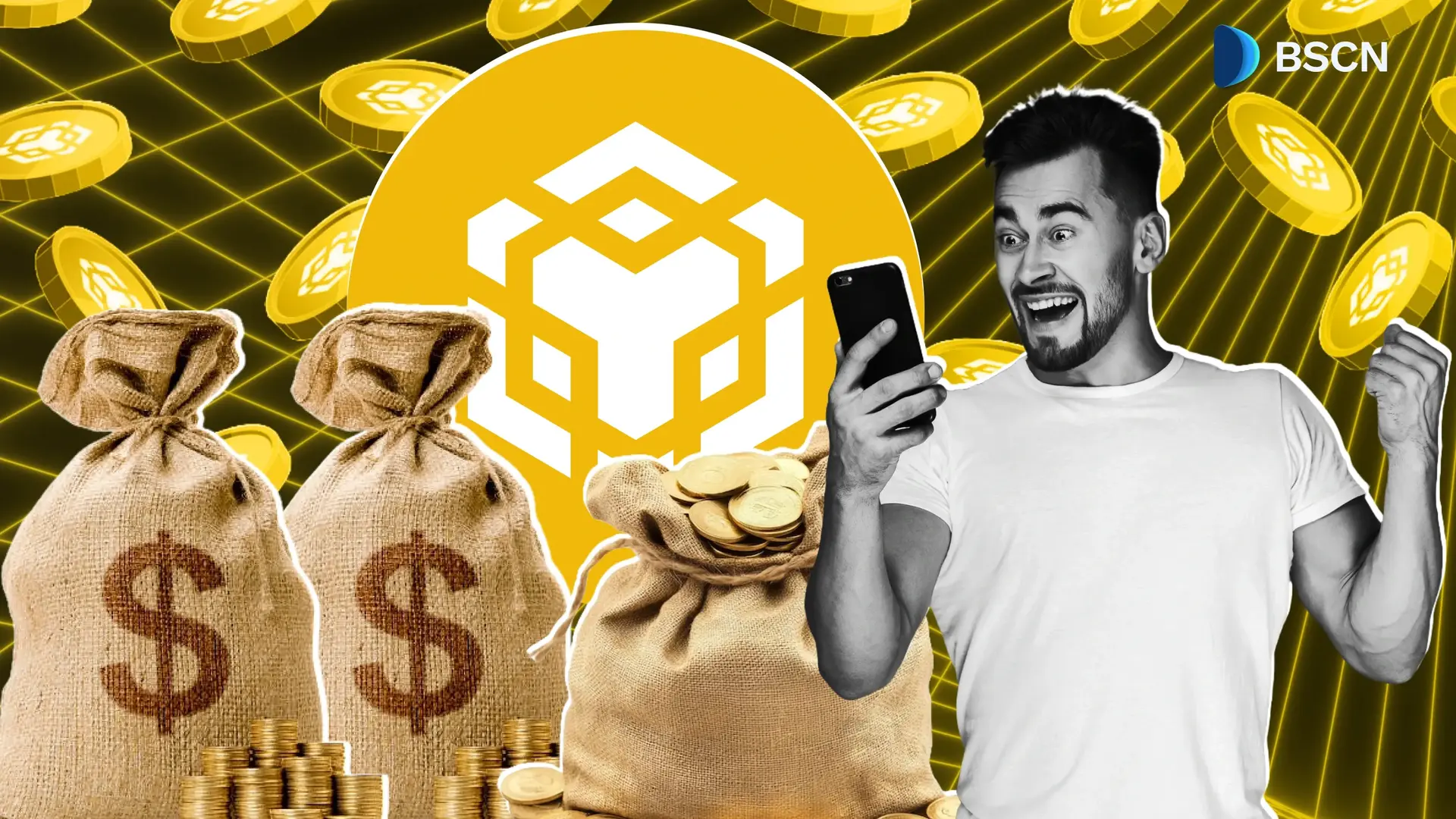 Who are the First Recipients of BNB Chain’s $100M Liquidity Support?