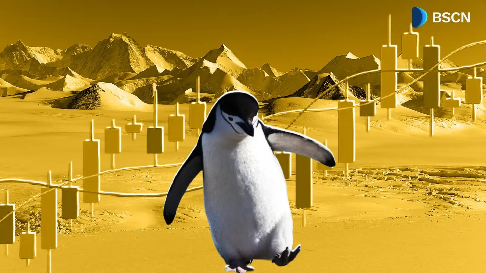 ¿De qué se trata todo el revuelo sobre PENGUIN Surge?