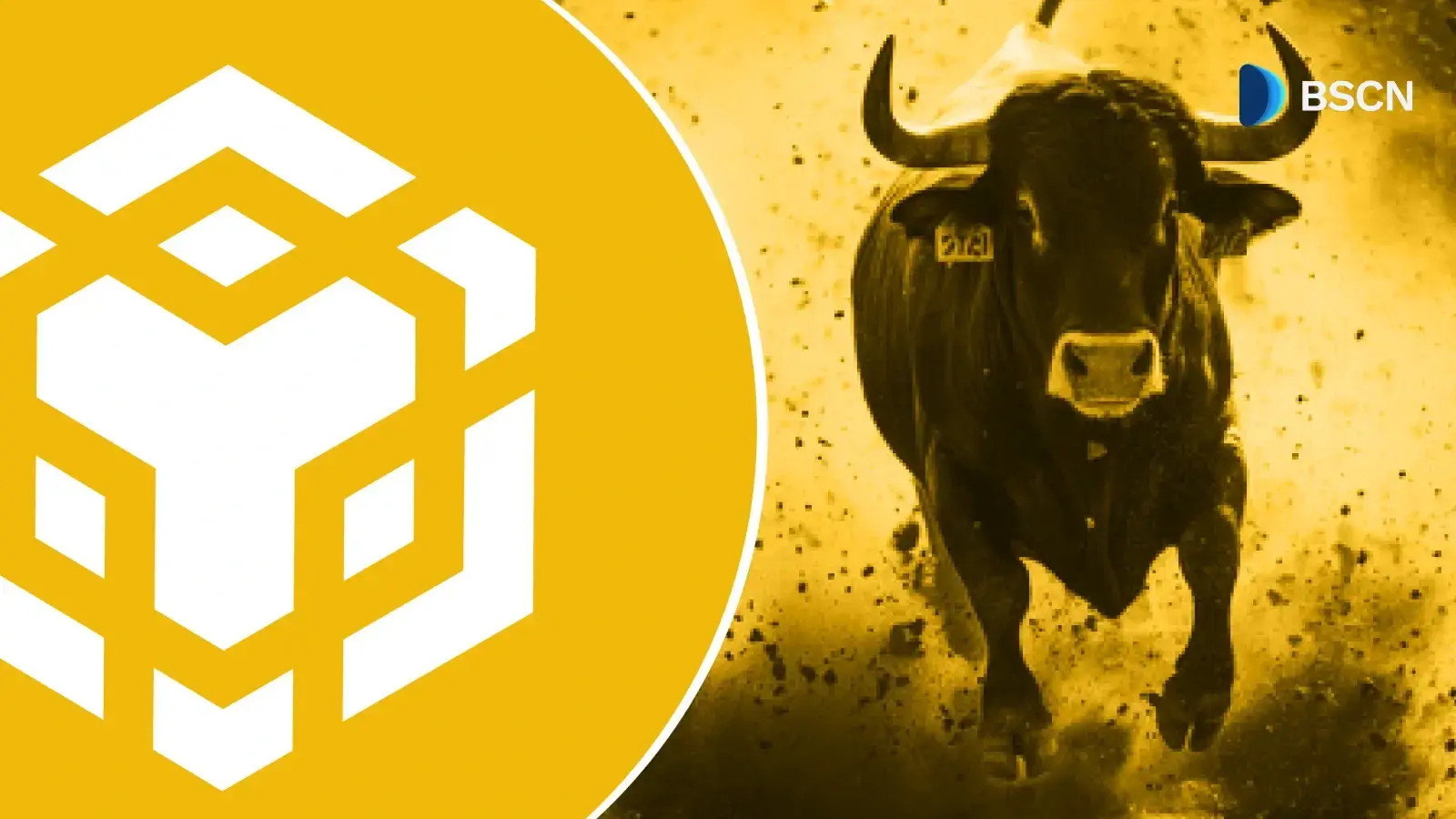 BNB Chain Q2 2025 in Numbers and Recent Updates
