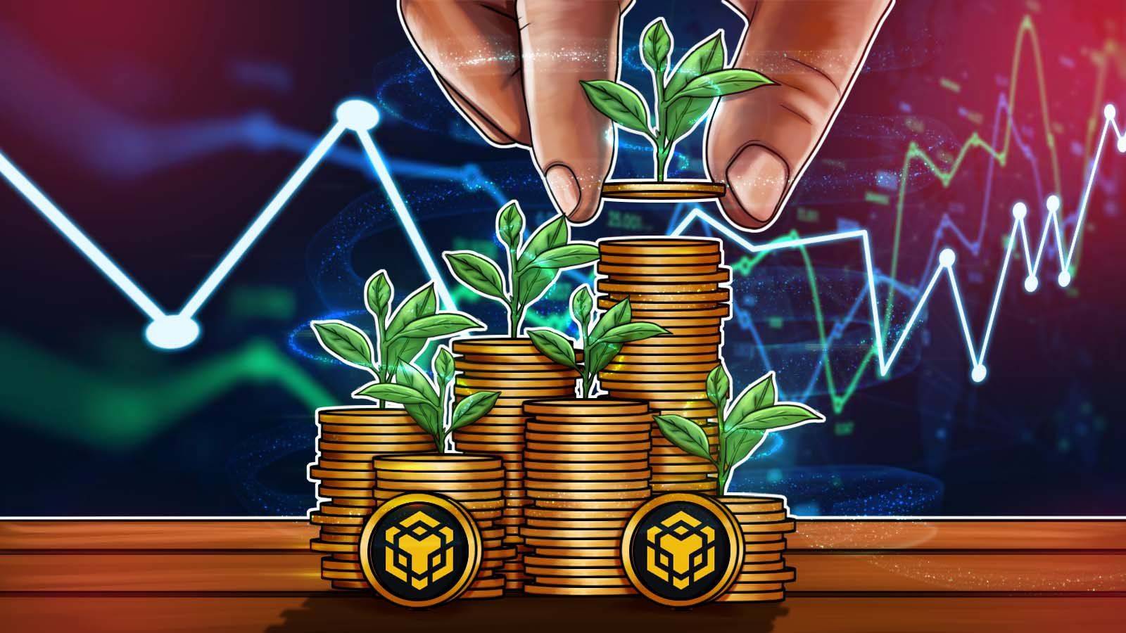 BNB Token Hits Lowest Price Since June