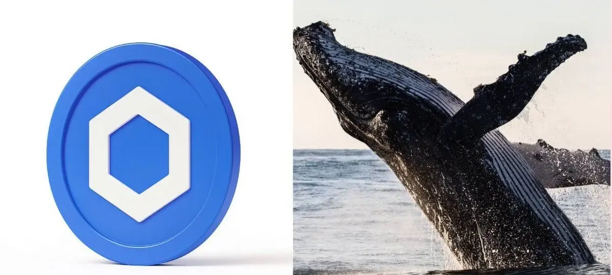 Chainlink Whales Accumulate Nearly 33m Link In One Month