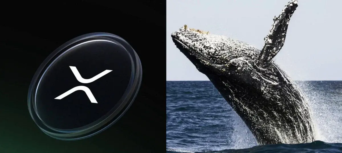 Xrp Whale Inflows To Binance Hit Four Year Low