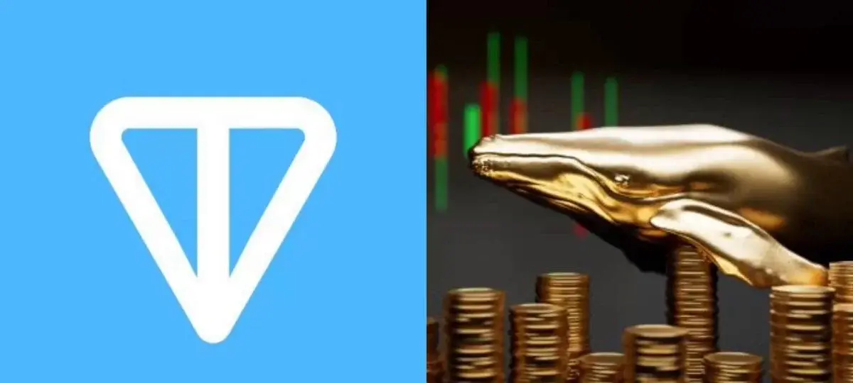 Whale Bags $16.7m Position Across Ton, Near, Pump, & AI Tokens