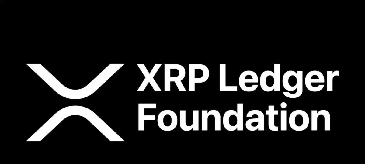 Meet The New Xrp Ledger Foundation Team