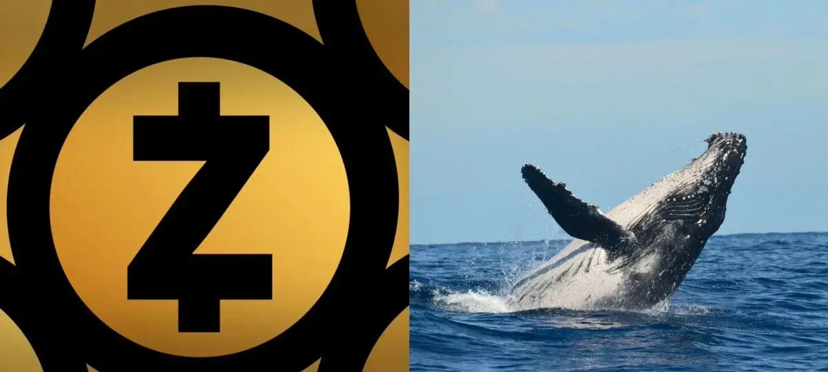 ZEC Whale Bet Hits $20 Million