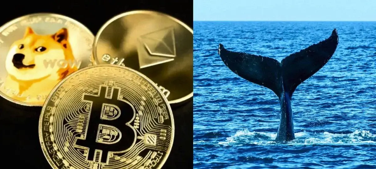 Whale With $24.79M Profit Record Opens Massive Longs on ETH, BTC, DOGE