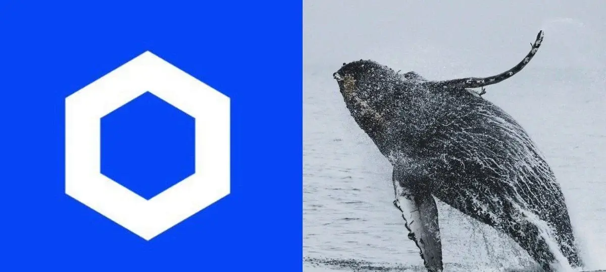 Chainlink Whales Are Moving Big