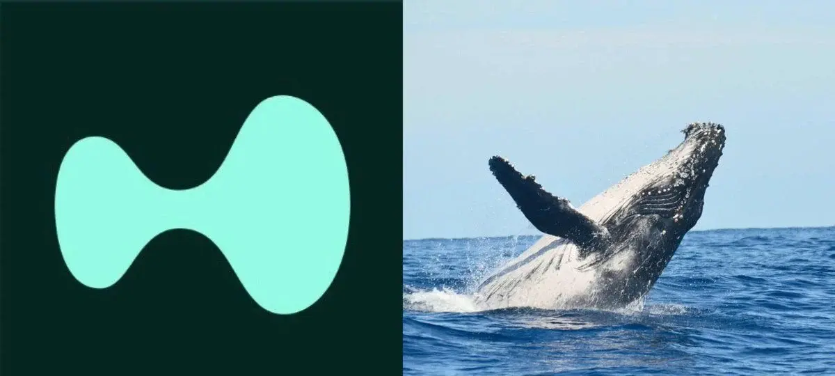 Hyperliquid Whales Keep Loading Up