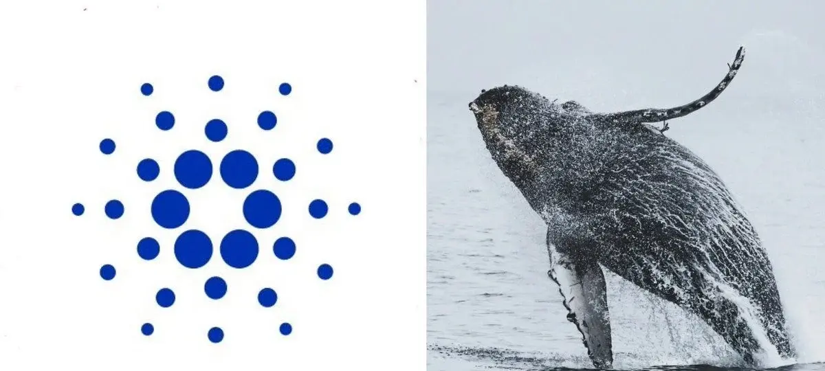 Dormant Cardano Whales Are Waking Up