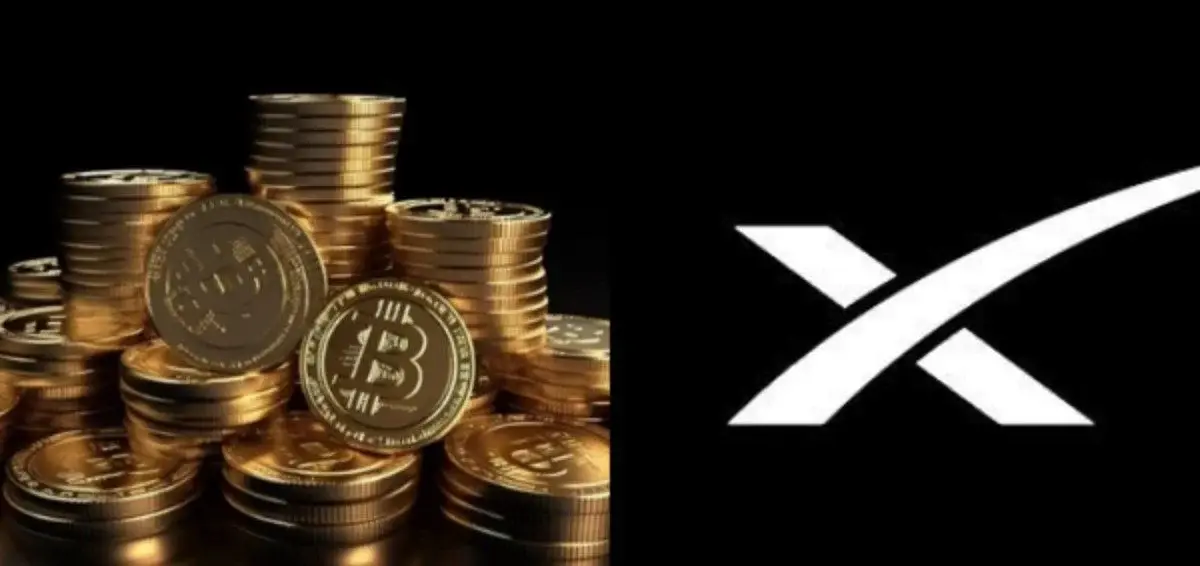 SpaceX's IPO just put 18,712 BTC on the public leaderboard