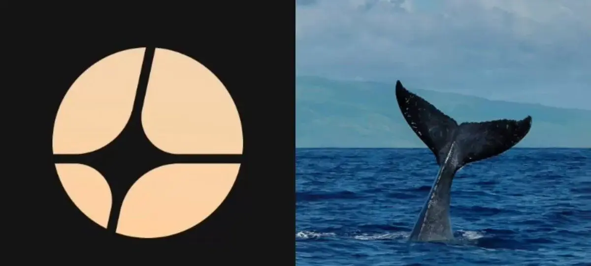 This ASTER Whale Is About to Get Liquidated Again?