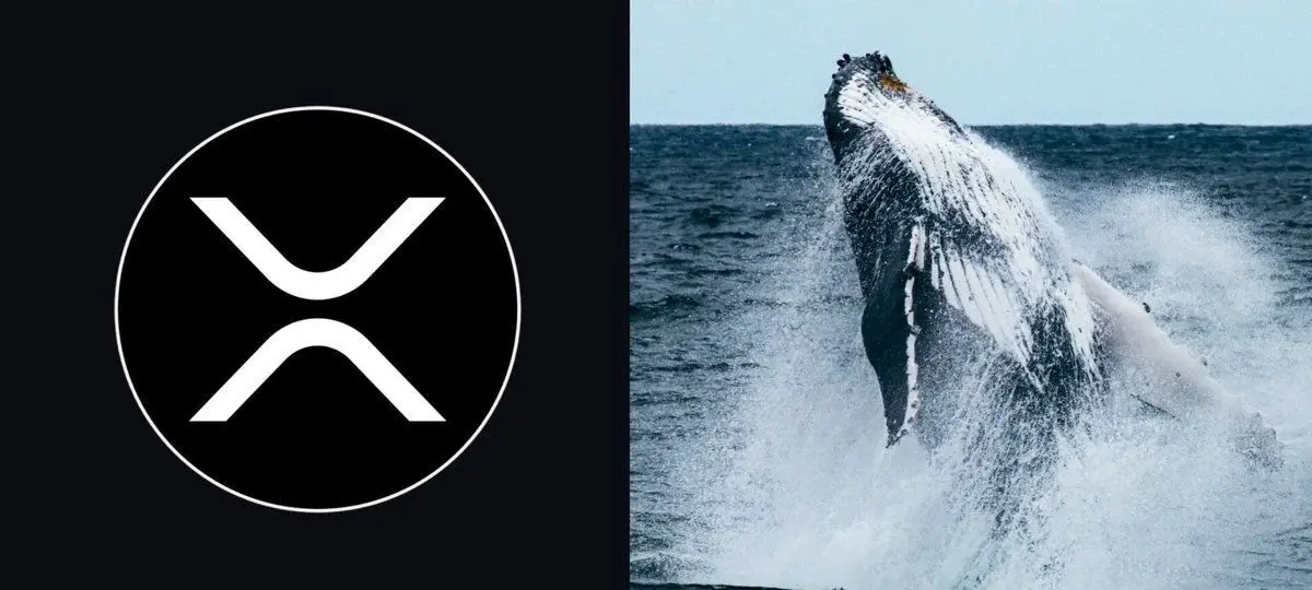 XRP Whales Return As Retail Stays On Sidelines