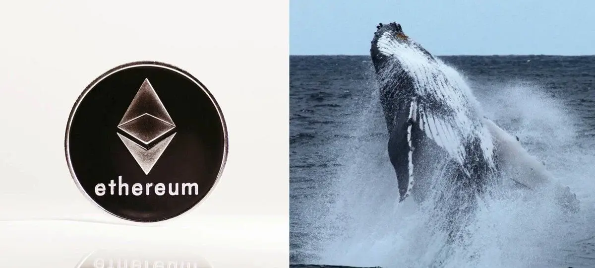 Китовете на Ethereum продължават многомилионната си серия от покупки на ETH