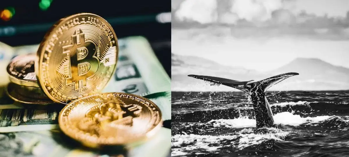 Bitcoin OG Closes $435M BTC Exit