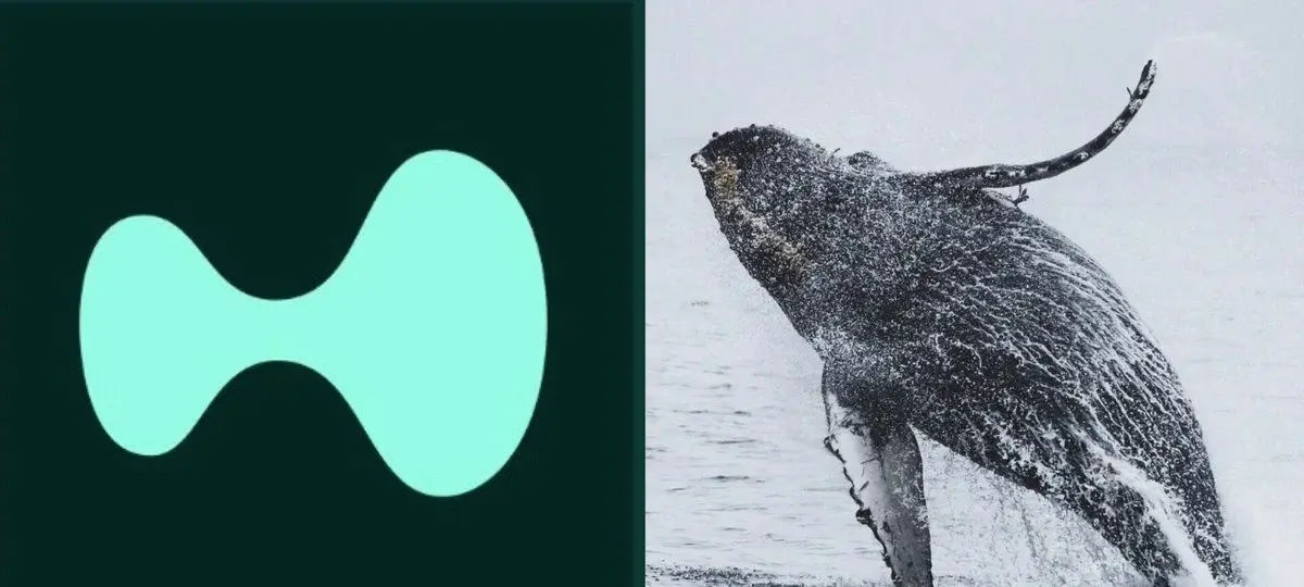 Hyperliquid Whale Crosses 1M HYPE Staked