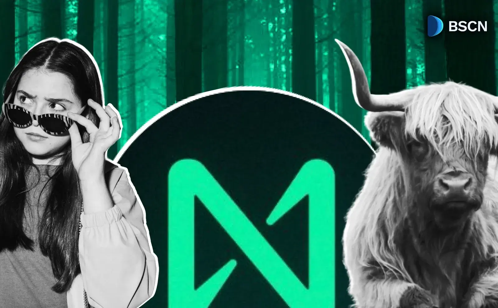 NEAR Protocol Eyes Deflationary Turn with Proposed Tokenomics Upgrade