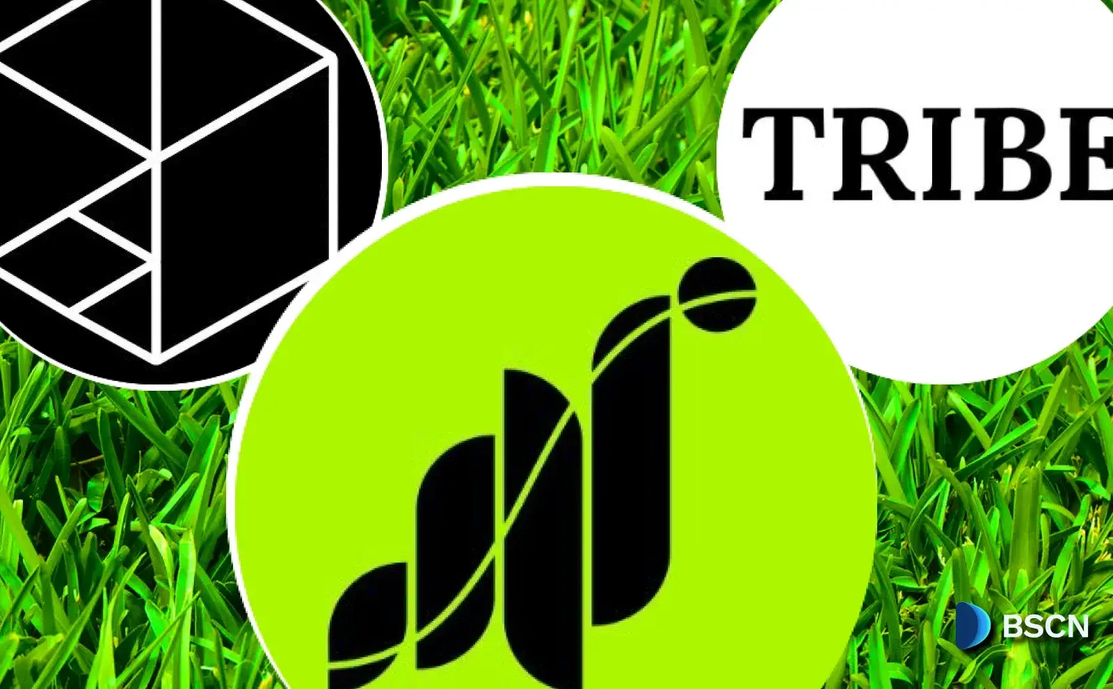 Grass Secures $10 Million in Fresh Funding from Polychain & Tribe