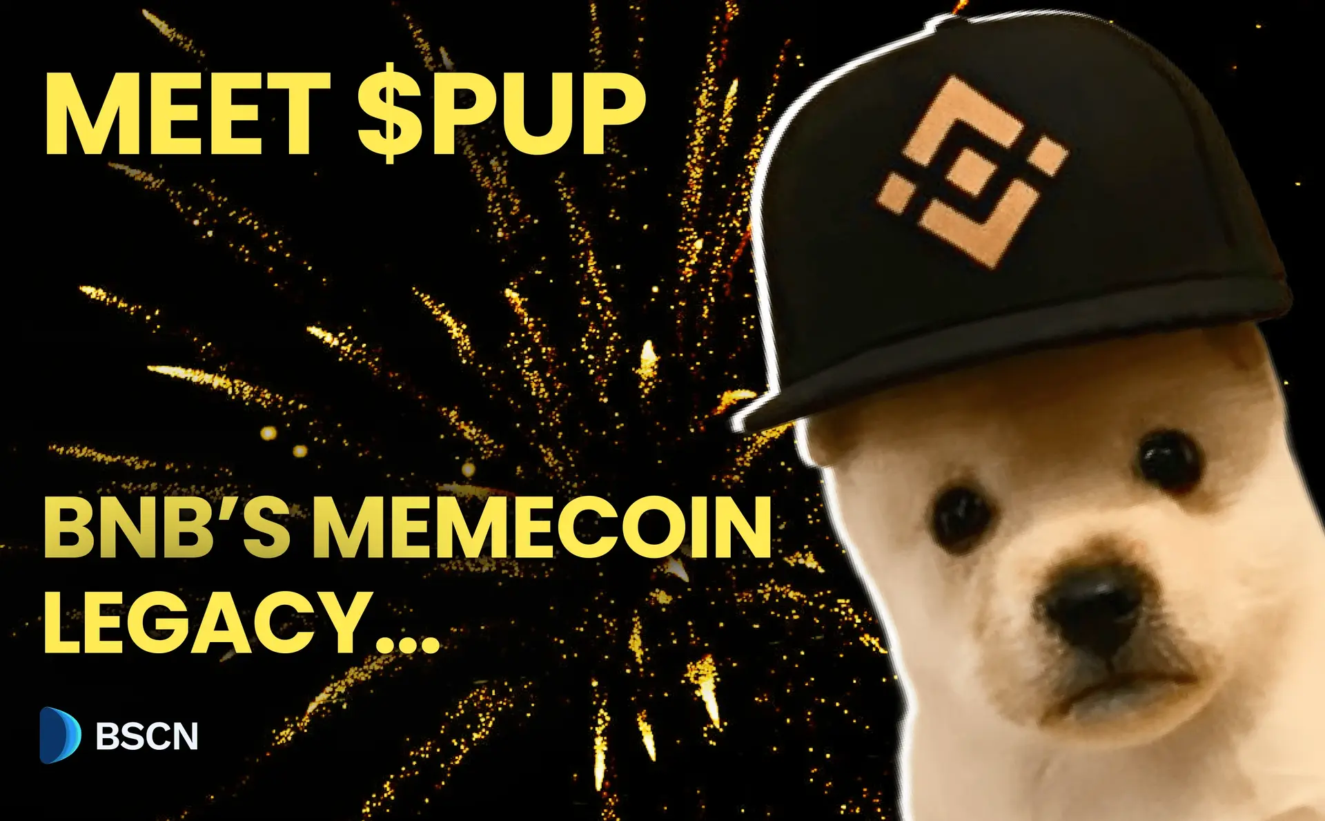 কুকুরছানা BNB