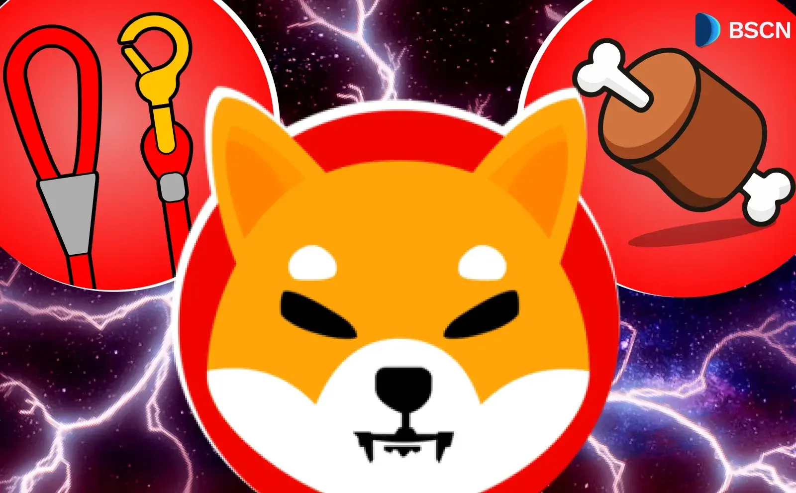 Shiba Inu: How a Meme Token Built a Blockchain Ecosystem