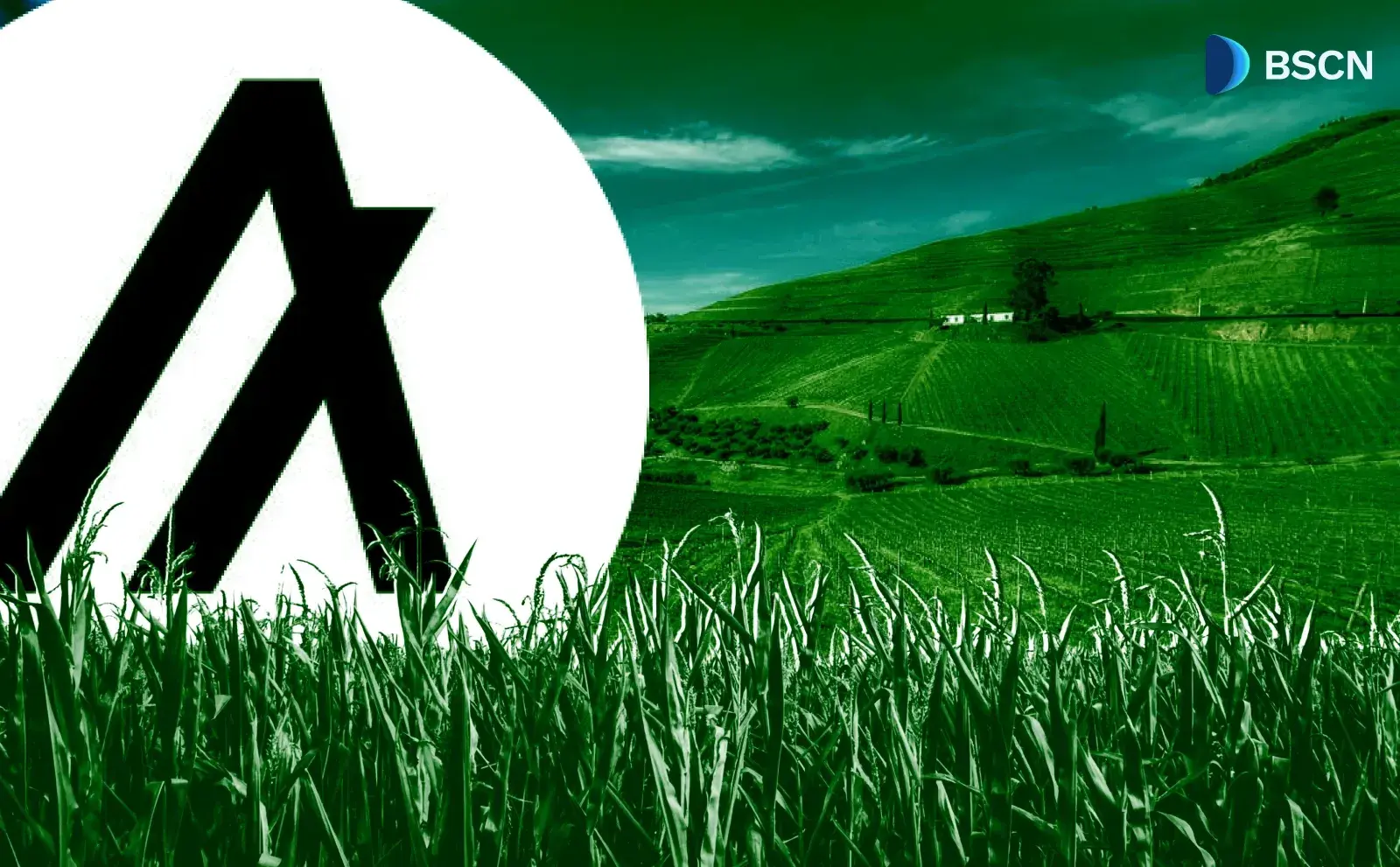 Algorand (ALGO): скорость, безопасность и устойчивость