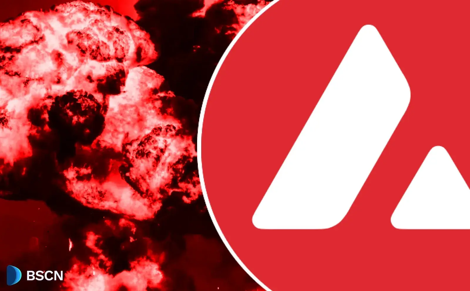 Avalanche zažívá masivní růst na chainu