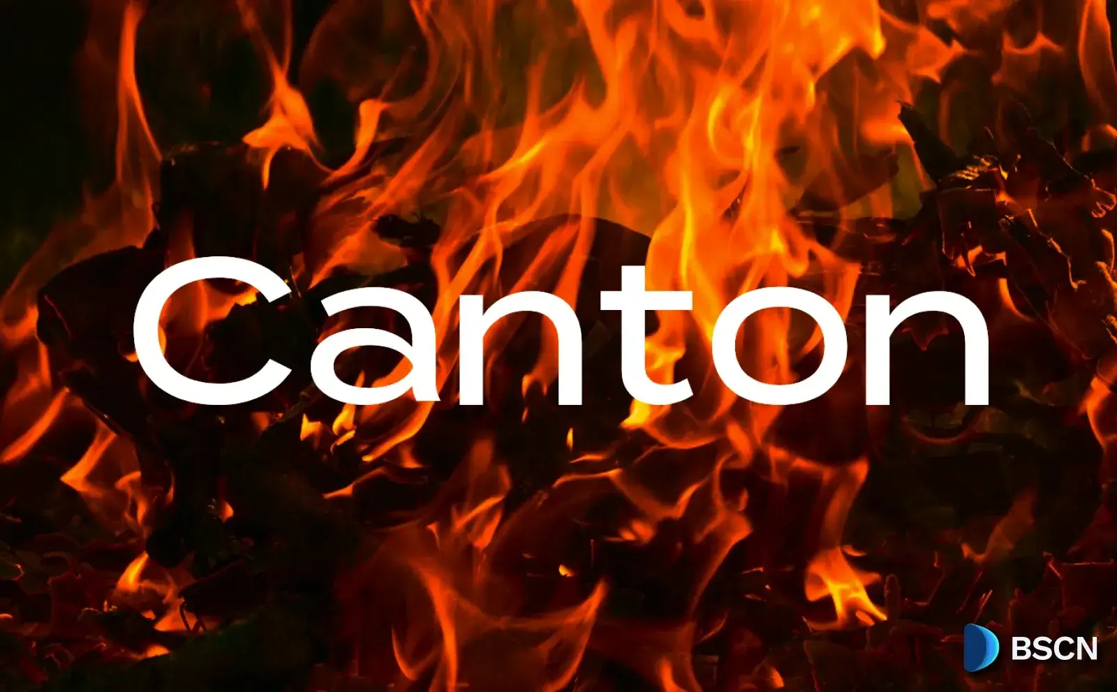 Canton Network Burns Over $400M in Canton Coin