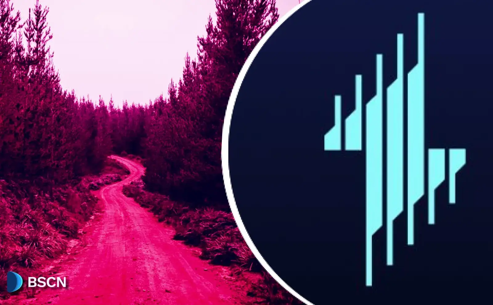 Echelon Reveals 'Road to TGE': What To Expect