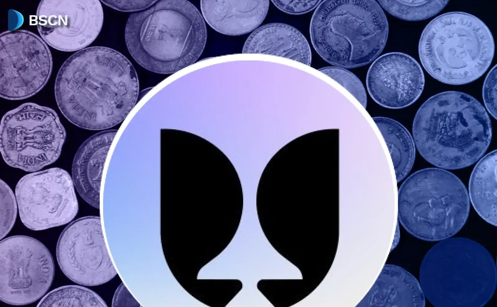 FlyingTulip เตรียมพร้อมสำหรับ TGE หลังจากการขายผ่าน CoinList ประสบความสำเร็จ