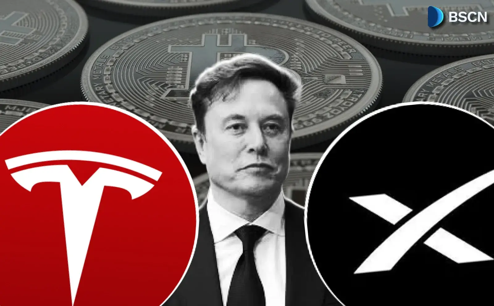Wie viel Bitcoin besitzen Tesla und SpaceX?