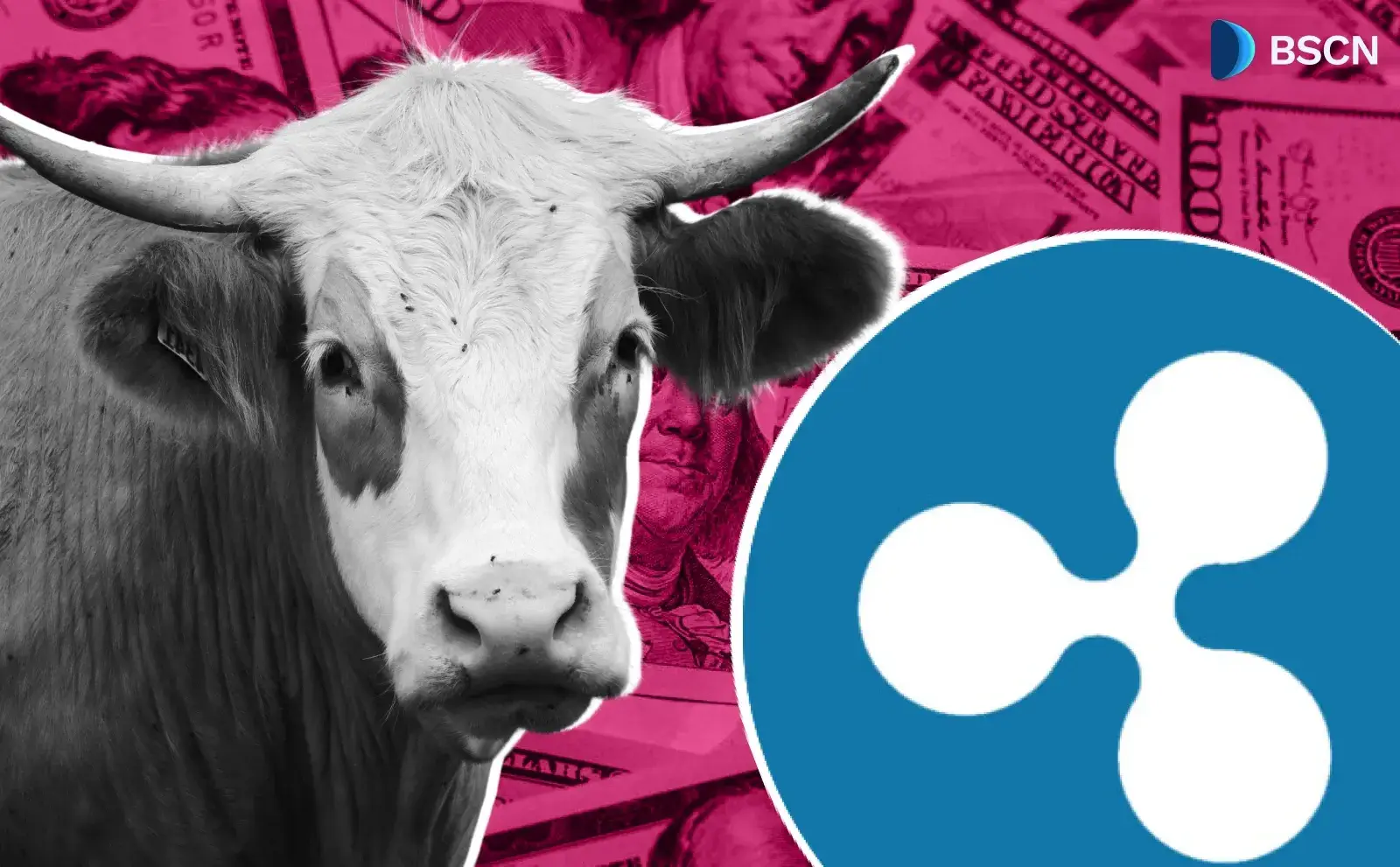 XRP Holders Are Selling at a Massive Loss: A Bullish Signal?