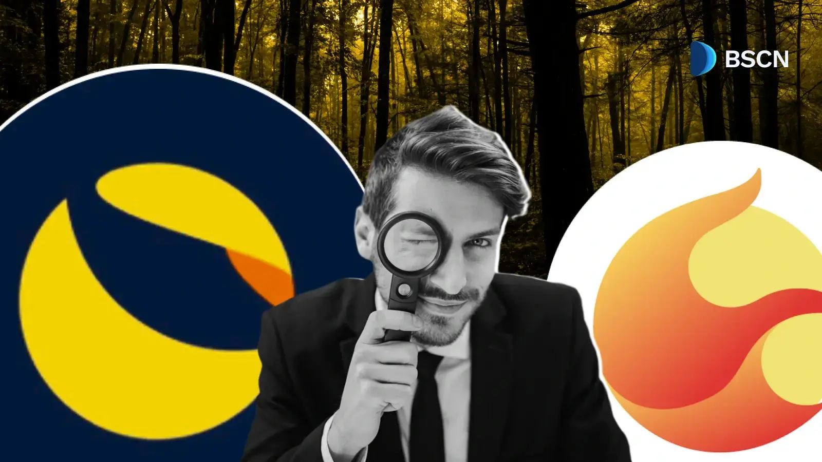 LUNC срещу LUNA: Как двете вериги се разделят и какво прави всяка от тях сега