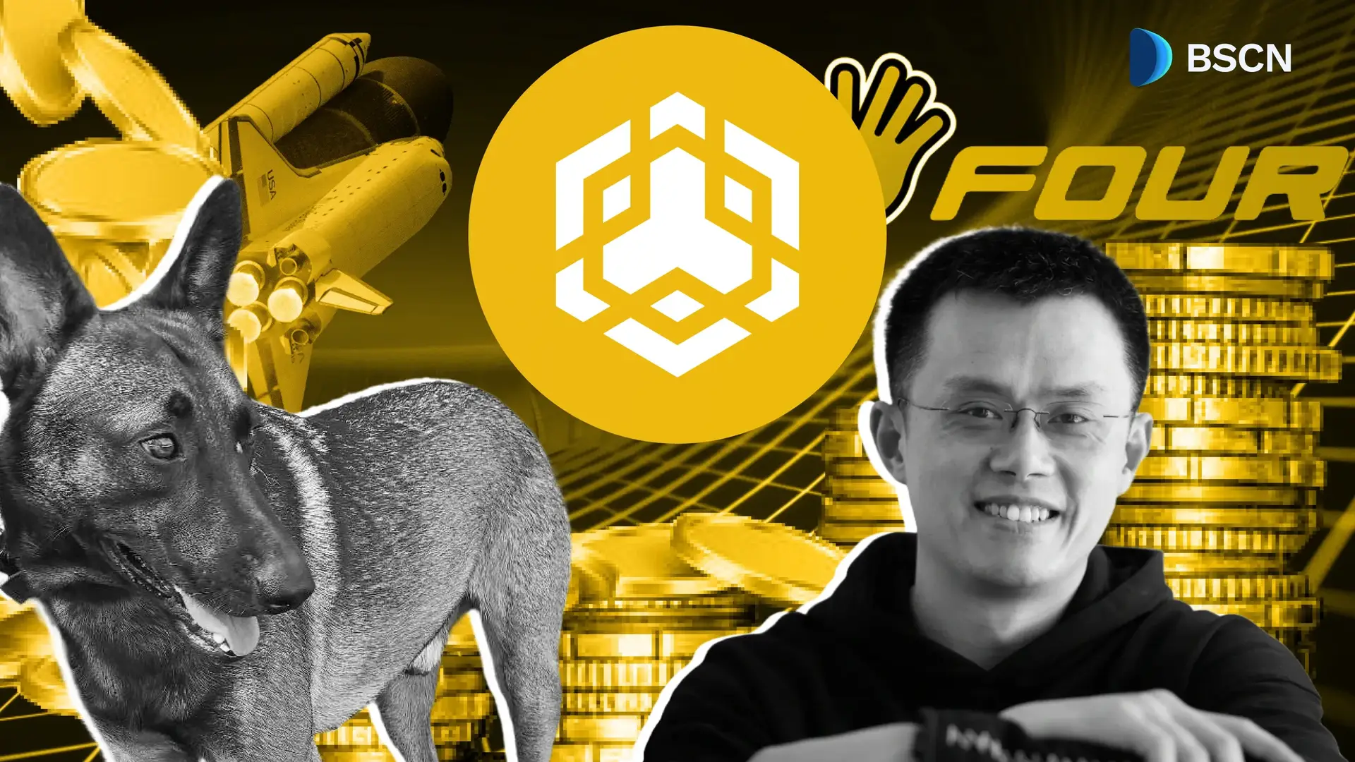 Who Got Rich Off the Broccoli Memecoin Frenzy?